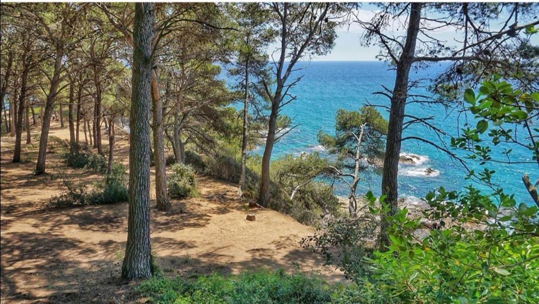 Seahomes Vacations, Beach&Pool, In Fenals Beach Lloret de Mar Bagian luar foto